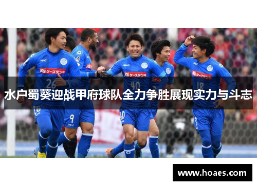 水户蜀葵迎战甲府球队全力争胜展现实力与斗志
